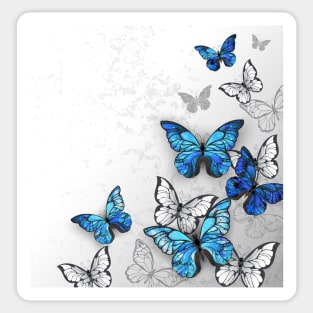 Blue and White Butterflies Sticker